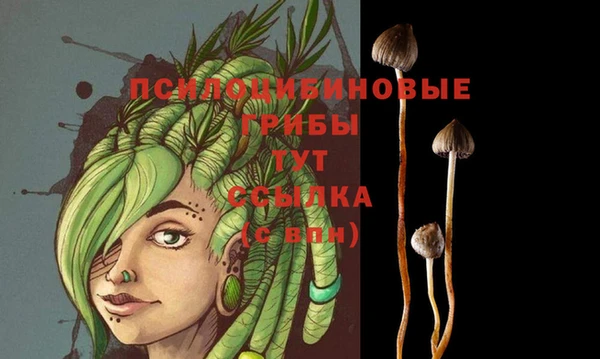 бошки Аркадак